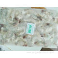 Frozen Imported White Shrimp Litopenaeus Vannamei HOSO